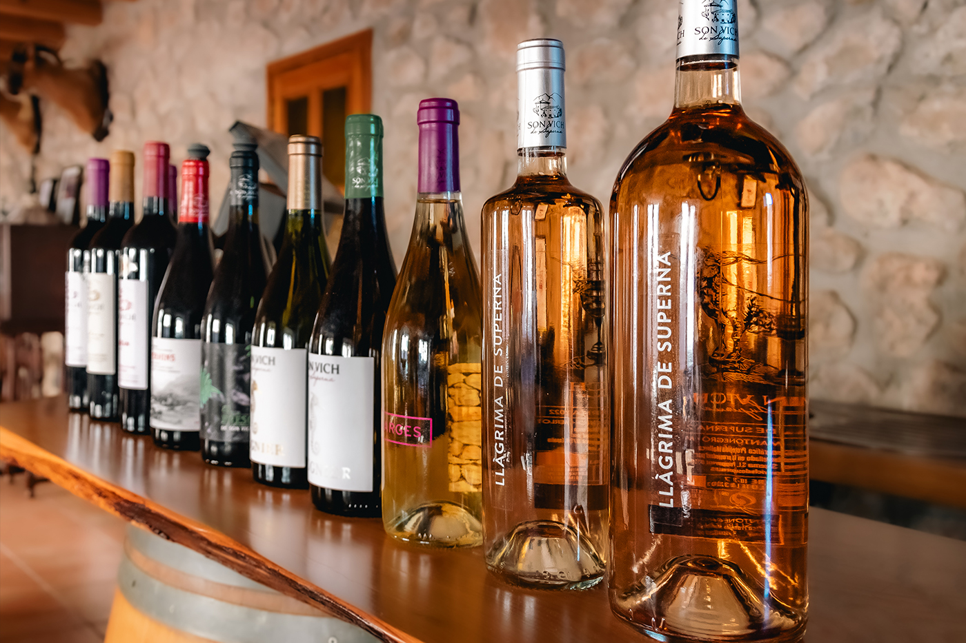 Cata de vino de 2 horas en Son Vich