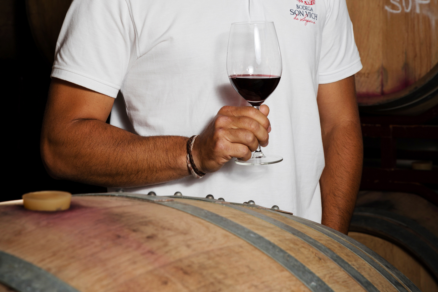 Cata de vino de 3 horas en Son Vich